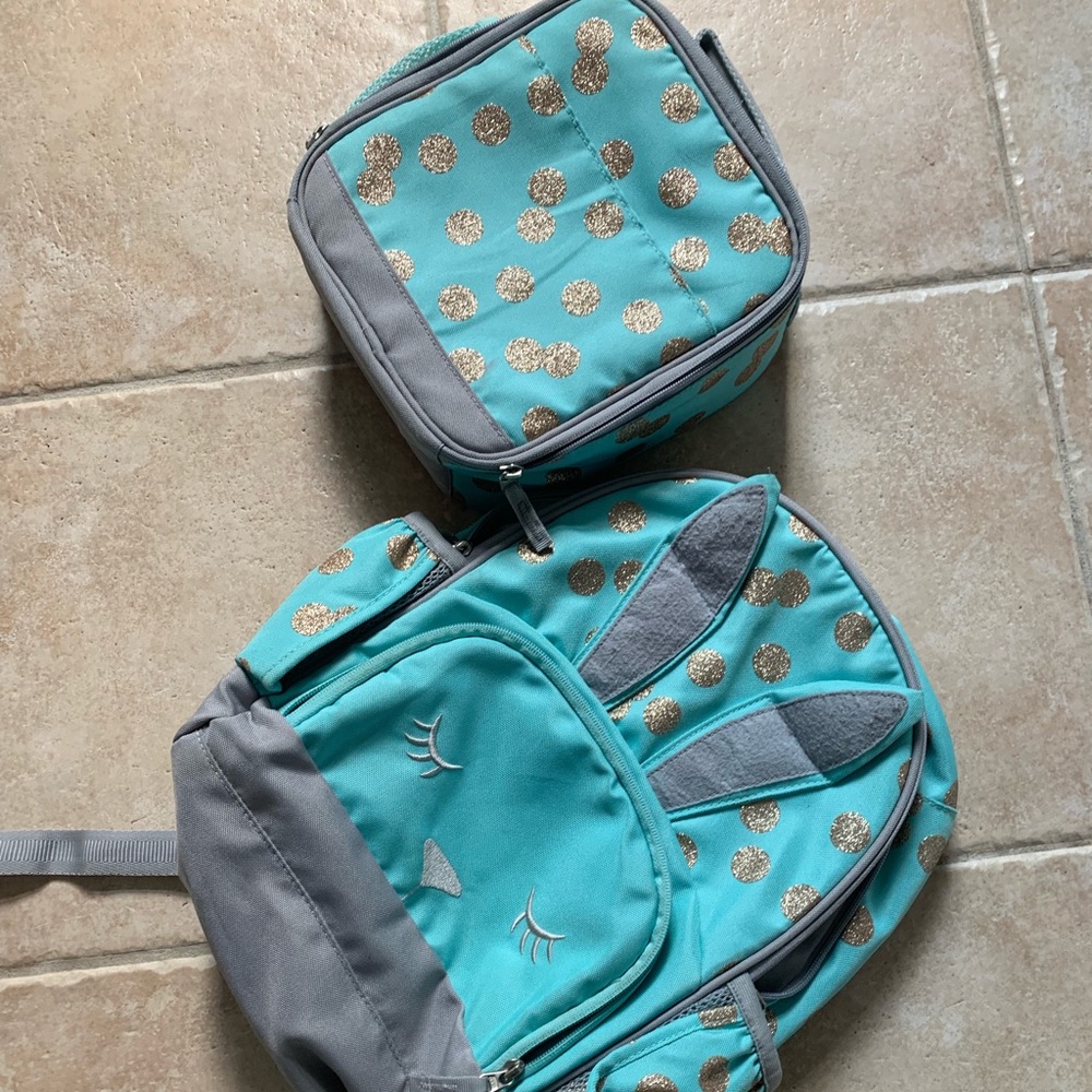 Pottery barn small book bag and lunch box